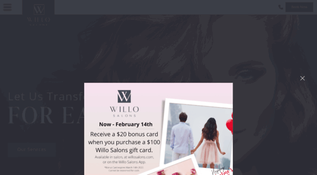 willosalons.com