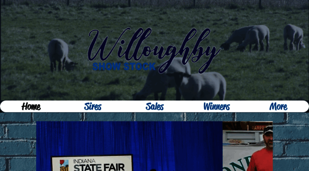 willoughbyshowstock.com