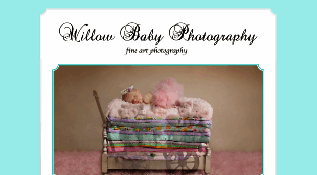 willowbabyphotography.com