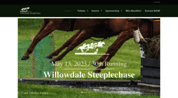 willowdalesteeplechase.org