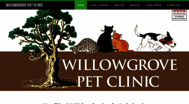 willowgrovepetclinic.com