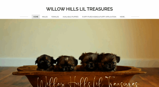 willowhillsliltreasures.com