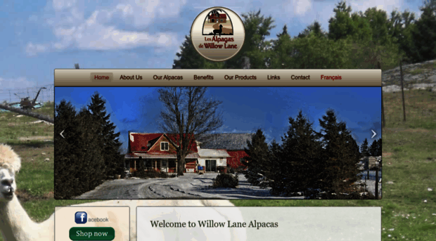 willowlane-alpaca.ca