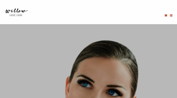 willowlashlabs.ca