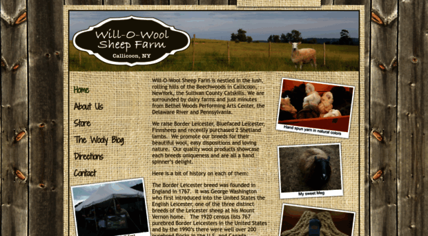 willowoolsheepfarm.com