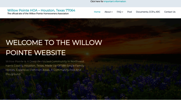 willowpointe.org