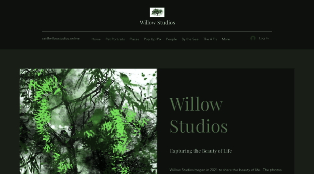 willowstudios.online
