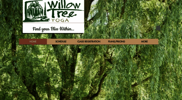 willowtreeyoga.net