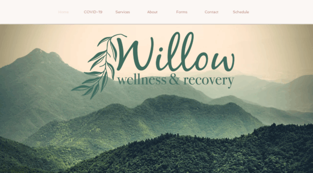 willowwellnessandrecovery.com