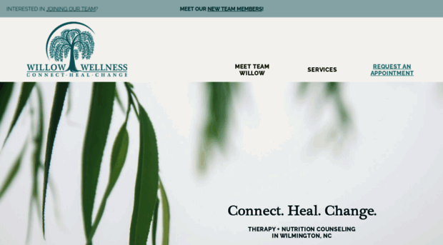 willowwellnesswilmington.com