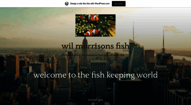 wilmorrisonsfish.wordpress.com