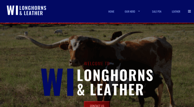 wilonghornsandleather.com