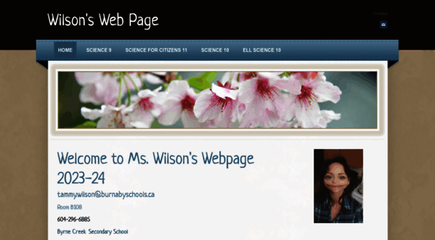 wilsonswebpage.com