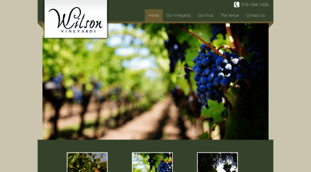 wilsonvineyards.com