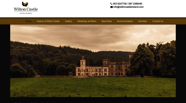 wiltoncastleireland.com