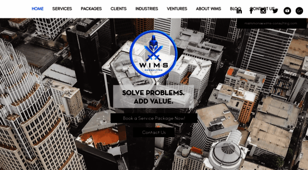 wims-consulting.com