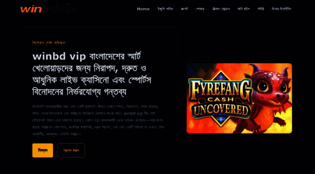 winbdvip.org
