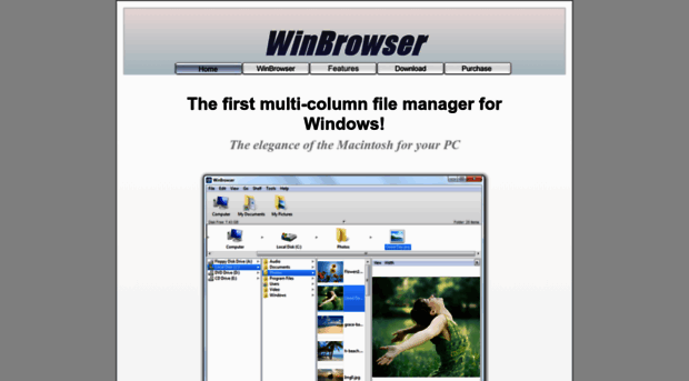 winbrowser.com