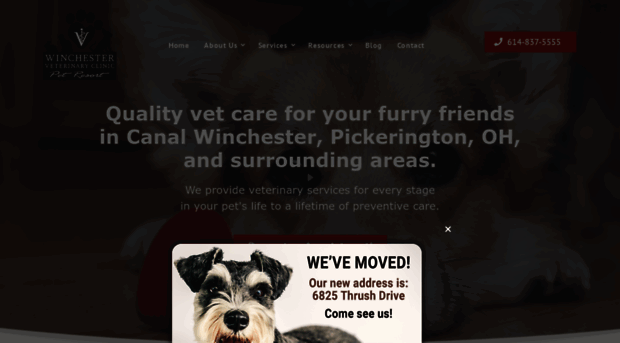 winchestervetclinic.com