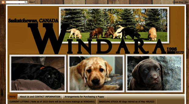 windarakennels.blogspot.com