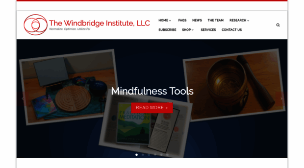 windbridgeinstitute.com