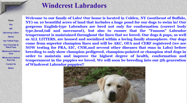 windcrestlabs.com