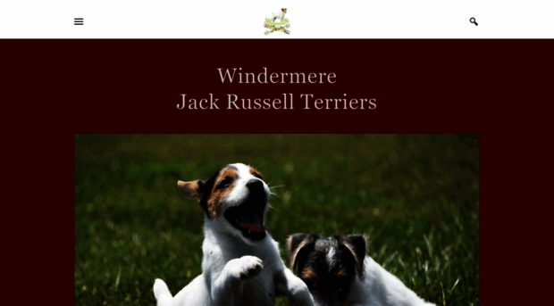 windermerejackrussellterriers.com