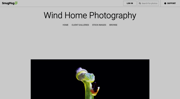 windhomephotography.com