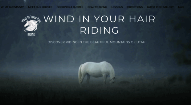 windinyourhair.com