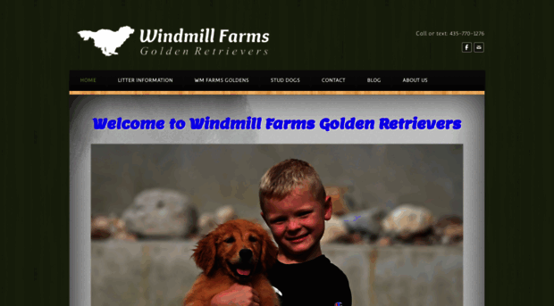 windmillfarmsgoldens.com