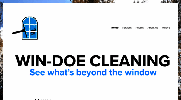 windoecleaning.com