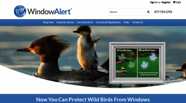 windowalert.com