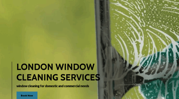 windowcleaners.org