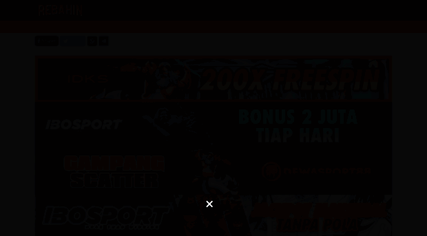 windowsxpuser.com
