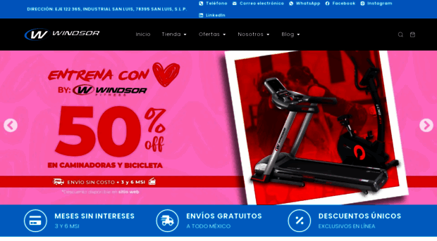 windsorfitness.mx