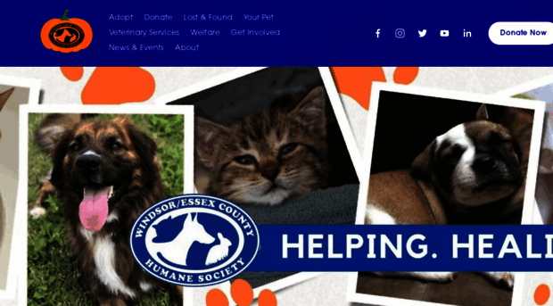 windsorhumane.org