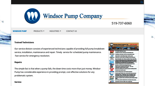 windsorpump.com