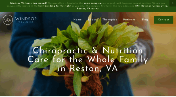 windsorwellness.com