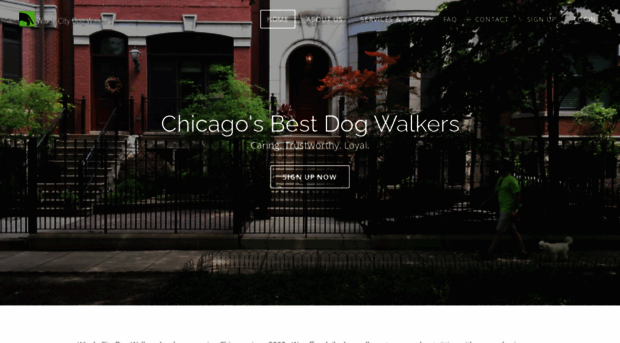 windycitydogwalkers.com