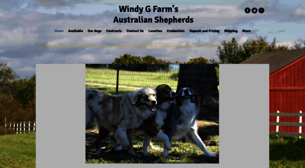 windygfarm.com