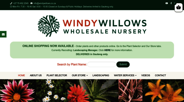 windywillows.co.za