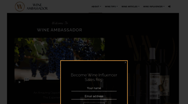 wineambassador.com