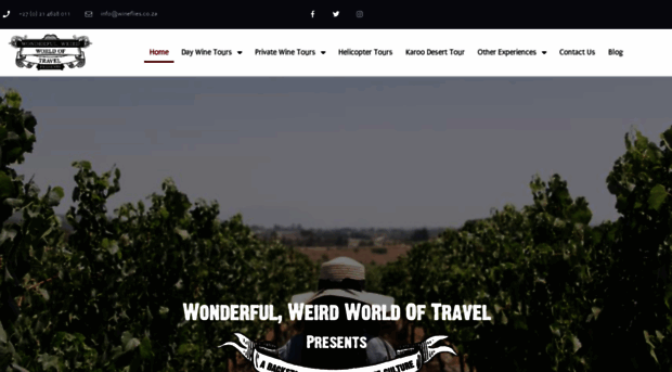 wineflies.co.za