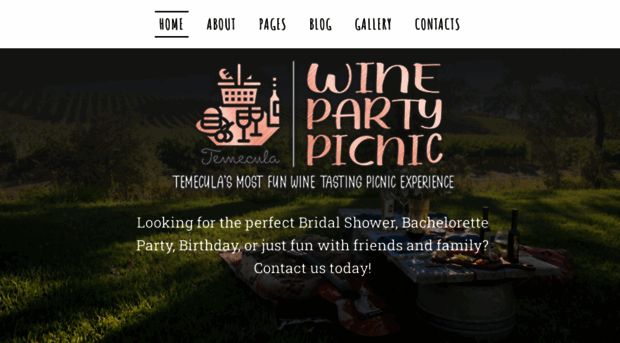 winepartypicnic.com