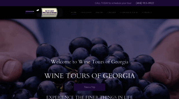 winetoursofgeorgia.com