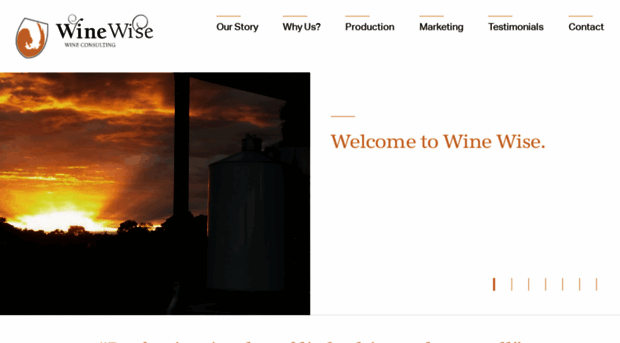 winewiseconsulting.com.au