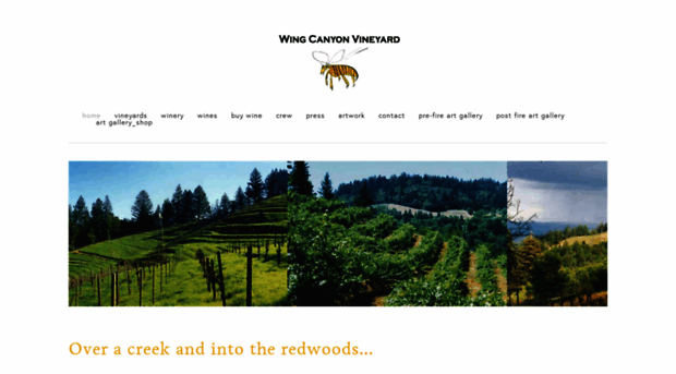 wingcanyonvineyard.com