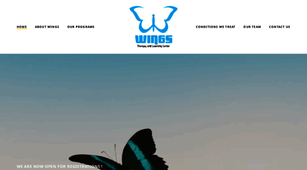 wingstherapycenter.com