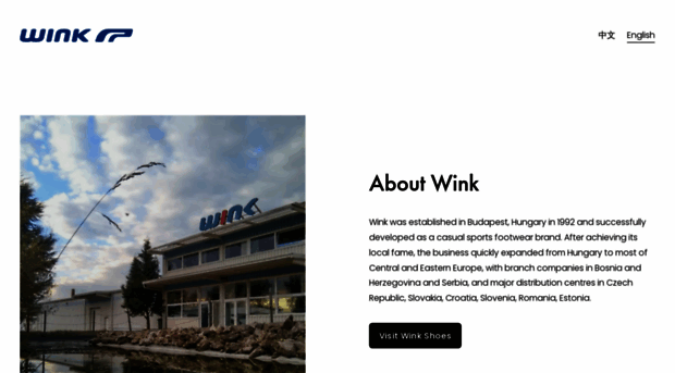 wink-global.com