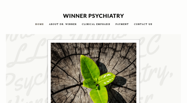 winnerpsychiatry.com